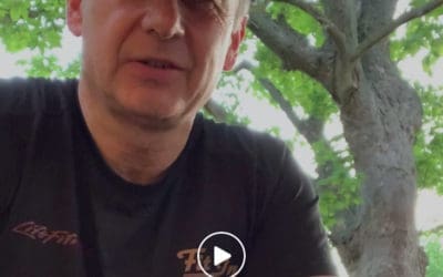 Wiedereröffnung am 28. Mai 2020